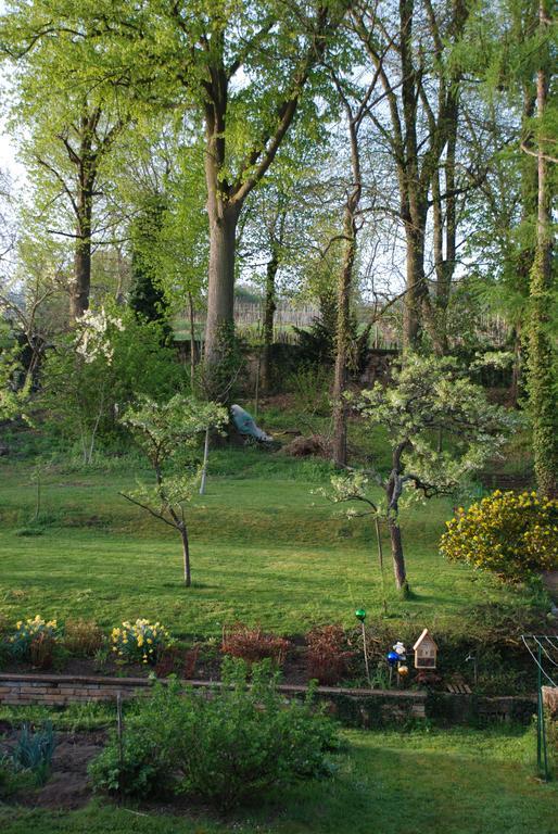 Villa Les Bleuets Scharrachbergheim-Irmstett Zimmer foto